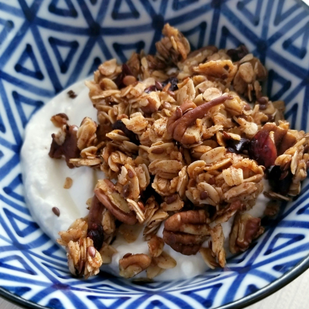 Healthy Homemade Cranberry Pecan Granola